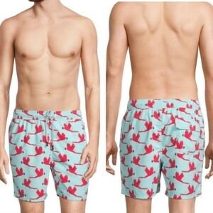 TOM & TEDDY Blue And Pink Parrot-Print Swim Shorts Size XL